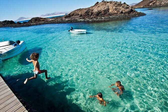 dolphin-watching-cruise-to-lobos-island