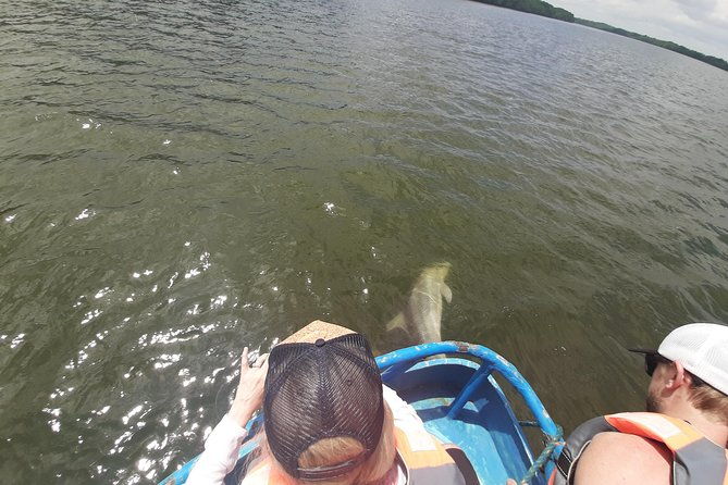 dolphin-watching-in-puerto-el-morro-from-guayaquil