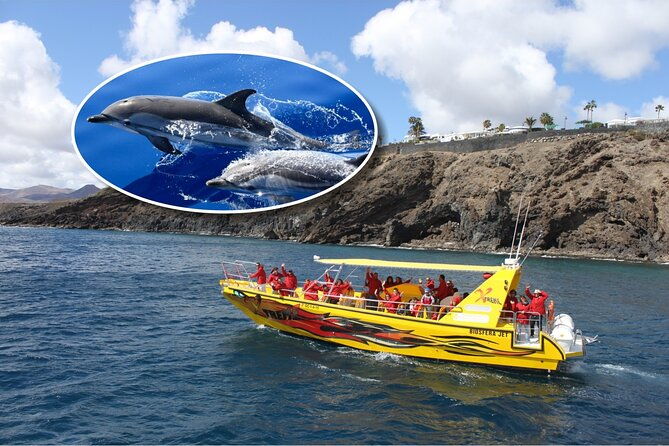 dolphin-watching-mini-cruise-and-snorkeling-from-lanzarote