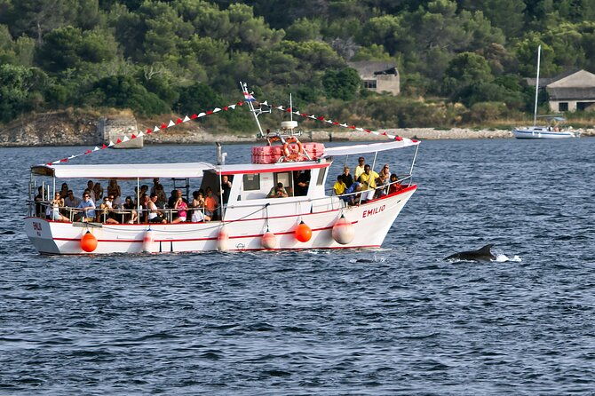 dolphin-watching-sunset-boat-trip-in-pula-with-dinner
