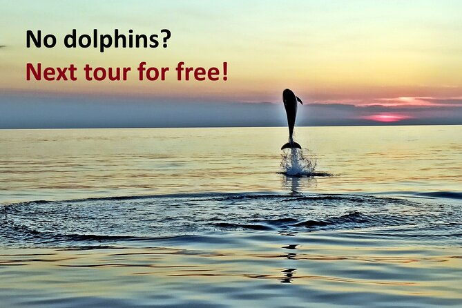dolphin-watching-sunset-speedboat-tour-with-drinks-in-rovinj