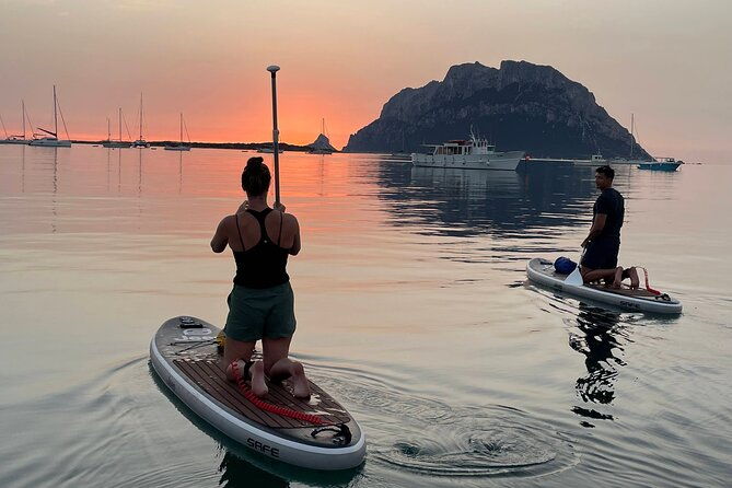 dolphin-watching-sup-tour-with-golfo-aranci-aperitif