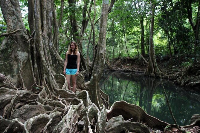 dominica-indian-river-discovery-beach-stop