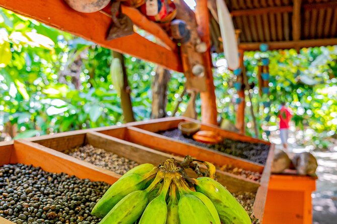 dominican-republic-countryside-safari-tour-from-punta-cana