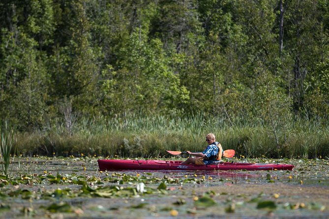 door-county-wetlands-kayak-tour