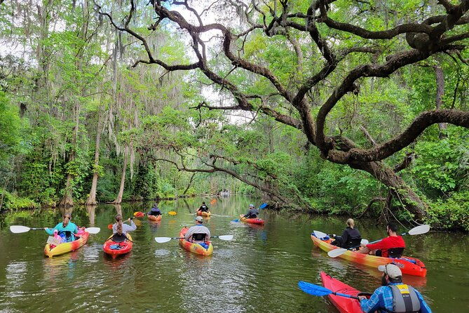 dora-canal-half-day-kayak-and-paddle-board-rental-adventure