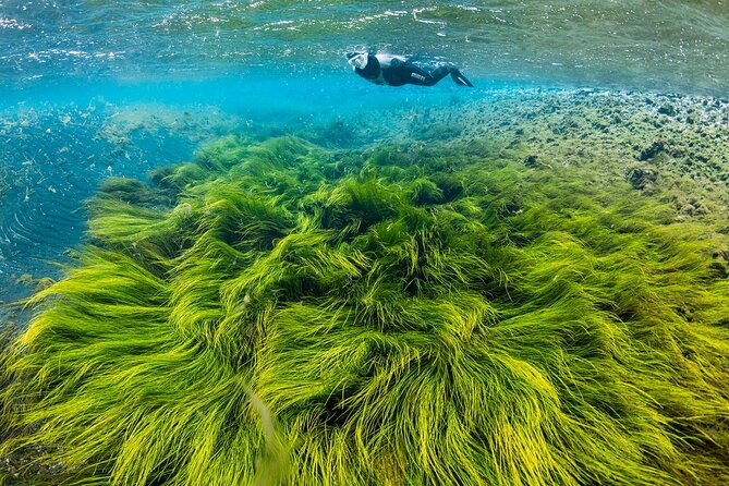 double-snorkeling-adventure-near-husavik-in-north-iceland