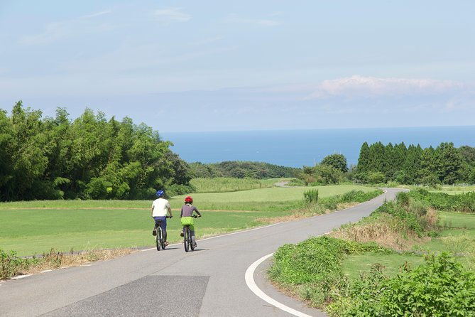 downhill-biking