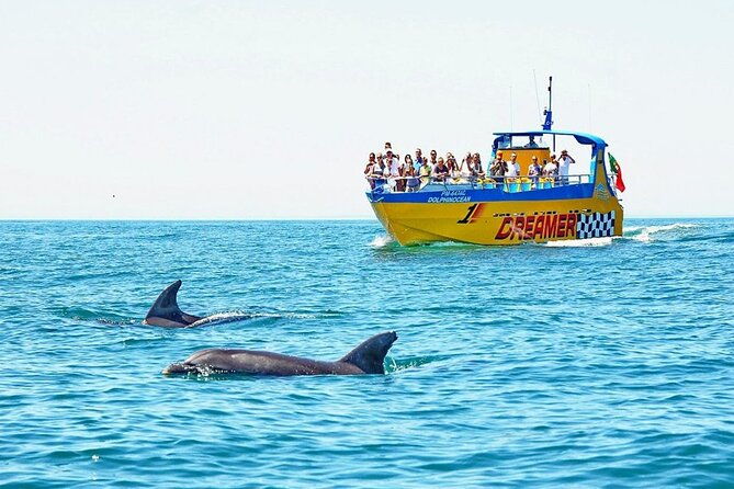 dreamer-cave-and-dolphins-boat-tour-ticket-albufeira