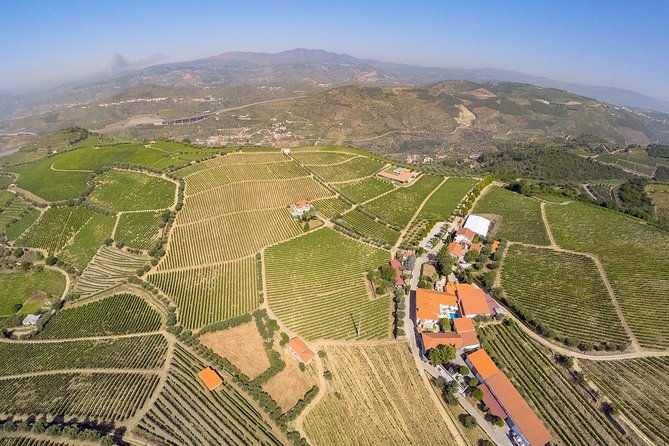 driver-with-private-vehicle-in-the-douro-valley