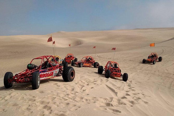 dune-buggy-utv-or-atv-experience-at-pismo-beach-2