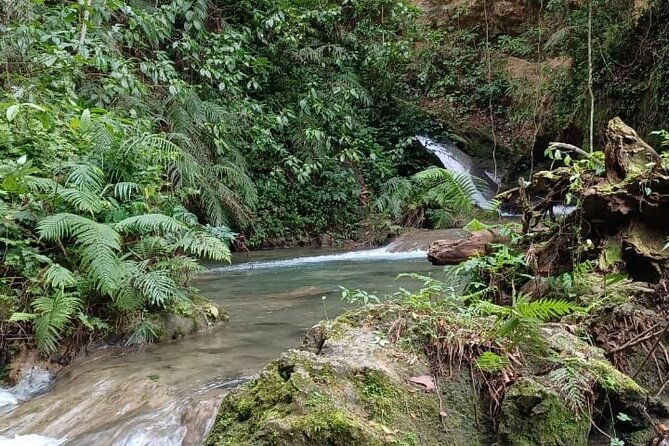 dunns-river-and-blue-hole-tour-from-montego-bay-accommodations