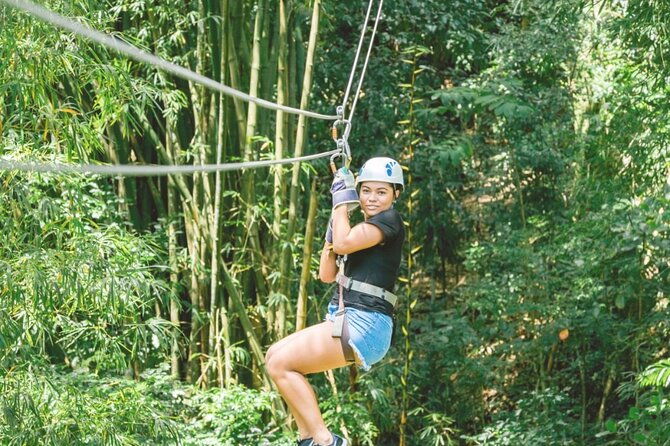 dunns-river-falls-and-park-tour-with-zip-line-from-montego-bay