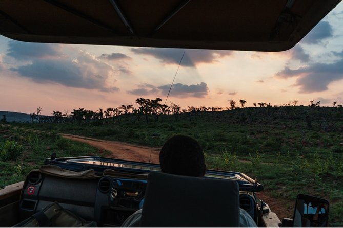 durban-big-5-luxury-safari-at-an-award-winning-game-reserve-zeiss-binoculars