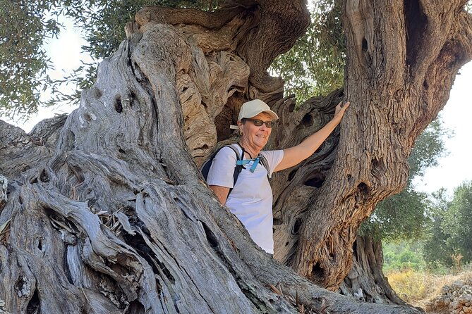 e-bike-tour-in-the-plain-of-the-secular-olive-trees-of-ostuni-4