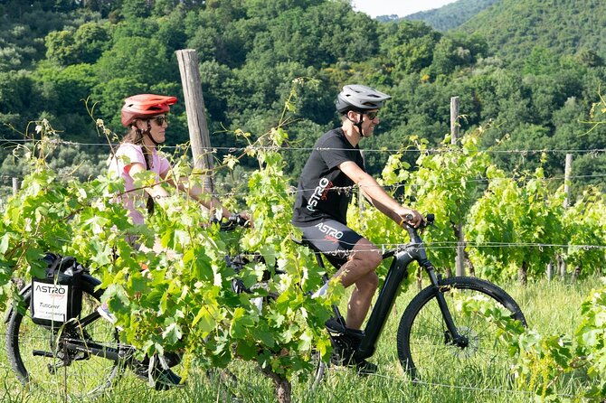 e-bike-tour-with-tasting-in-the-hills-of-lucca