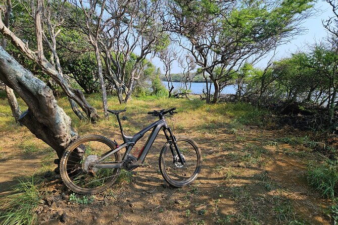 e-mountain-bike-tour-in-south-point-hawaii