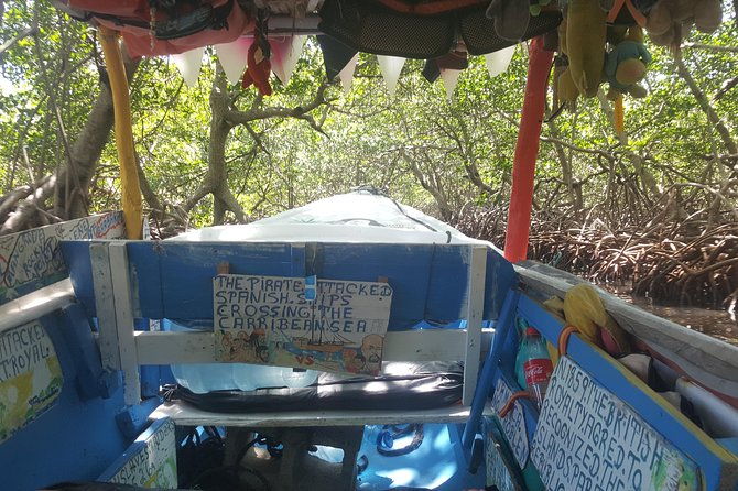 east-end-tour-mangroves-punta-gorda-port-royal-with-snorkeling-option