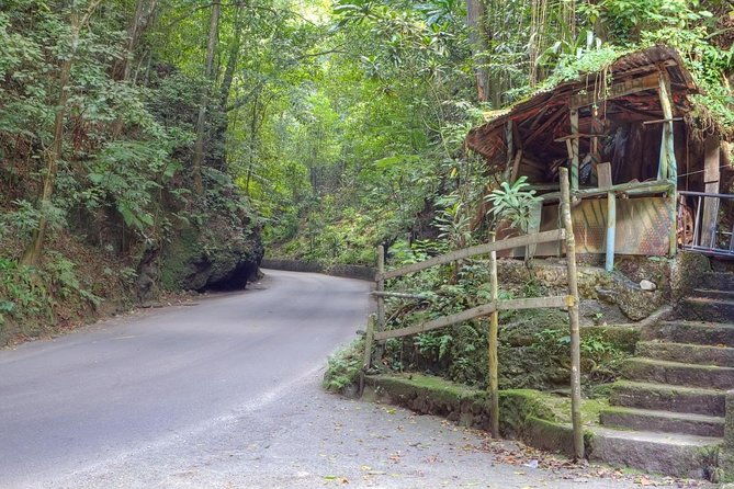 eco-tour-konoko-falls-fern-gully-from-ocho-rios