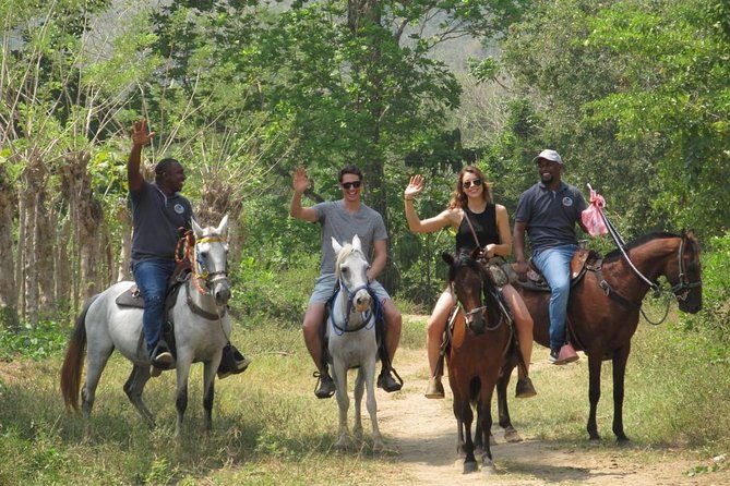 eco-tour-on-horseback