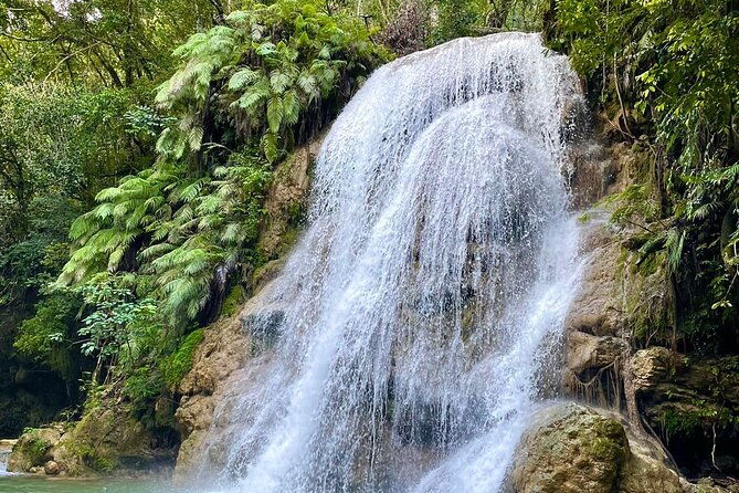 ecolodge-overnight-experience-el-limon-waterfalls-samana-dr