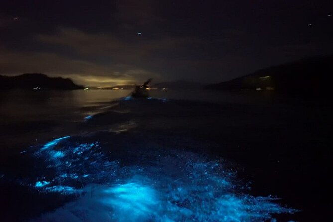 eddys-bioluminescence-reserve-in-punta-cuchillos