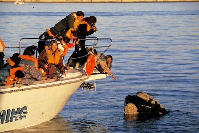 el-doradillo-beach-city-tour