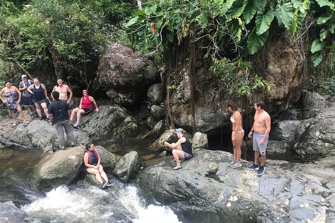 el-yunque-hiking-tour-with-transport