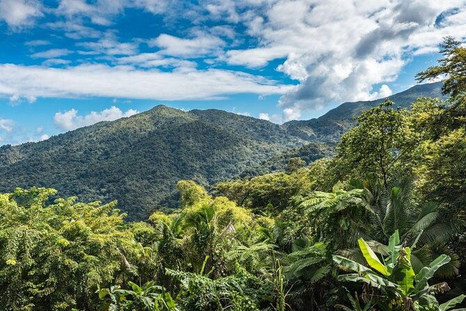 el-yunque-national-forest-guided-tour-with-transport
