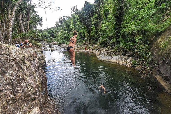 el-yunque-rainforest-and-waterfall-guided-tour