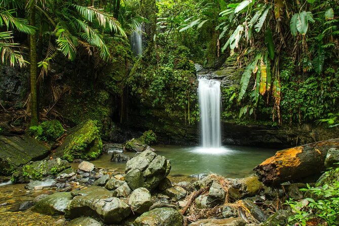 el-yunque-rainforest-guided-tour