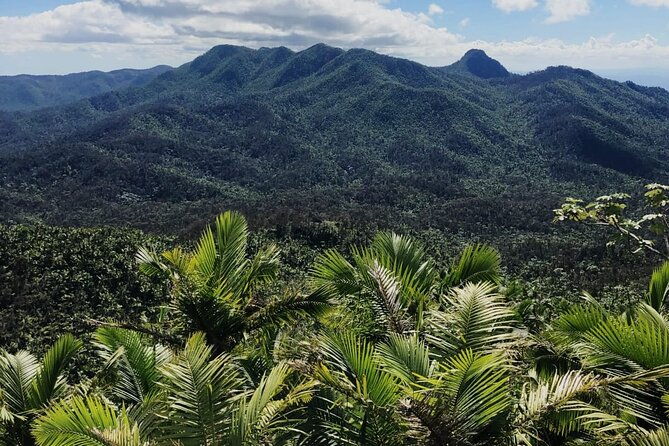 el-yunque-rainforest-waterslides-and-beach-tour-with-transport