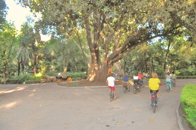 electric-bike-rental-3-hours