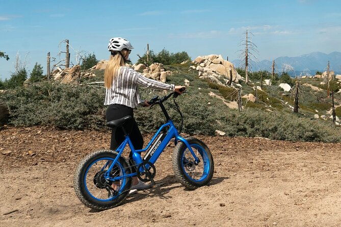 electric-bike