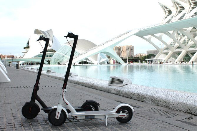 electric-scooter-rental-2