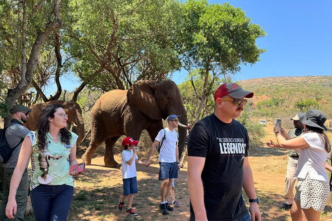 elephant-monkey-sanctuary-tour-from-johannesburg