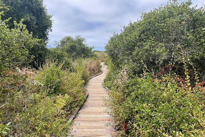 elfin-forest-nature-tour-with-local-sweet-and-savory-tasting