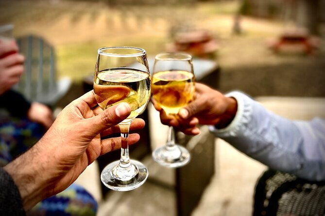 elijay-hike-w-waterfall-wine-tasting-private-tour-from-atl
