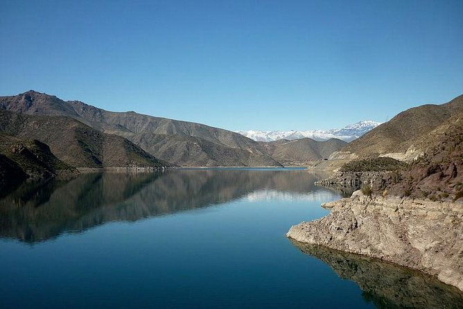 elqui-valley-and-vicuna-private-tour-including-lunch