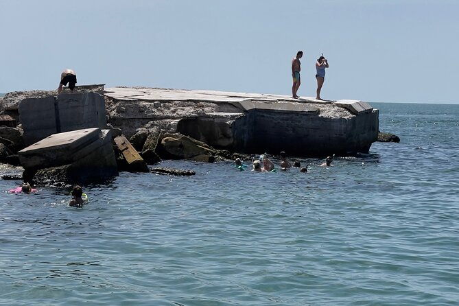 enticement-charters-snorkel-shelling-in-st-petersburg-fl-3-hrs-2