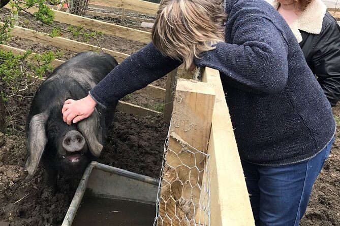errichel-farm-tour-2