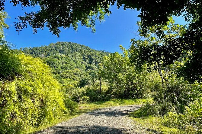 esquipulas-rainforest-private-birding-fully-customizable-tour