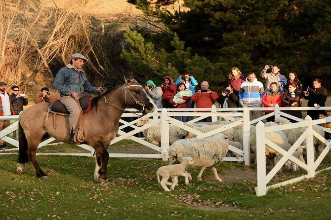 estancia-25-de-mayo-experience-with-dinner-from-calafate
