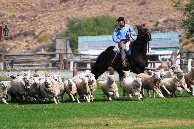 estancia-25-de-mayo-in-el-calafate-pm-visit-with-dinner