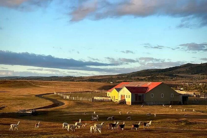estancia-from-the-commune-of-laguna-blanca