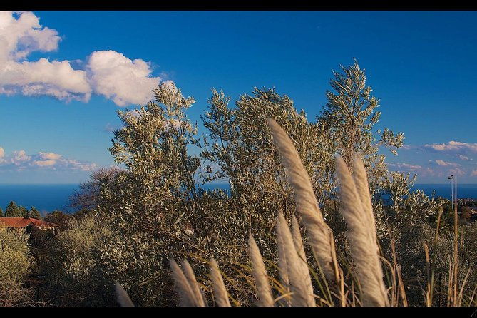 etna-volcanic-yoga-and-meditation-weekend-private-experience
