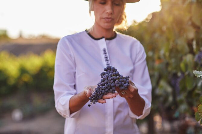 europa-village-winery-tour-including-8-tastings-3-food-pairings