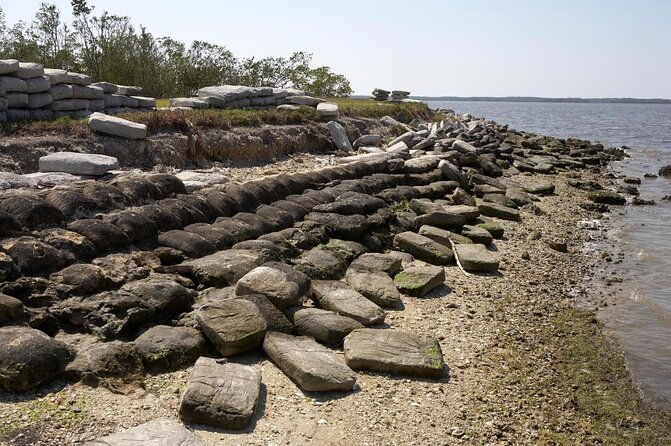 everglades-national-park-small-group-guided-boating-and-walking-expedition-2