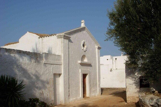 evo-oil-tasting-in-masseria-in-ostuni