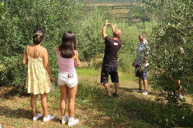 evo-oil-tasting-school-with-blindfolded-tasting-and-lunch